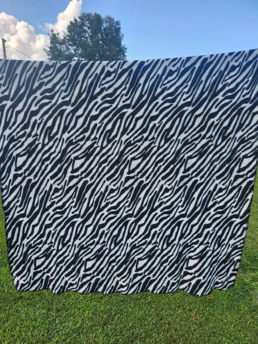 zebra print throw lightwieght blanket size 70